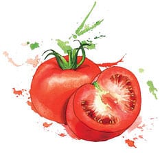 water-tomato